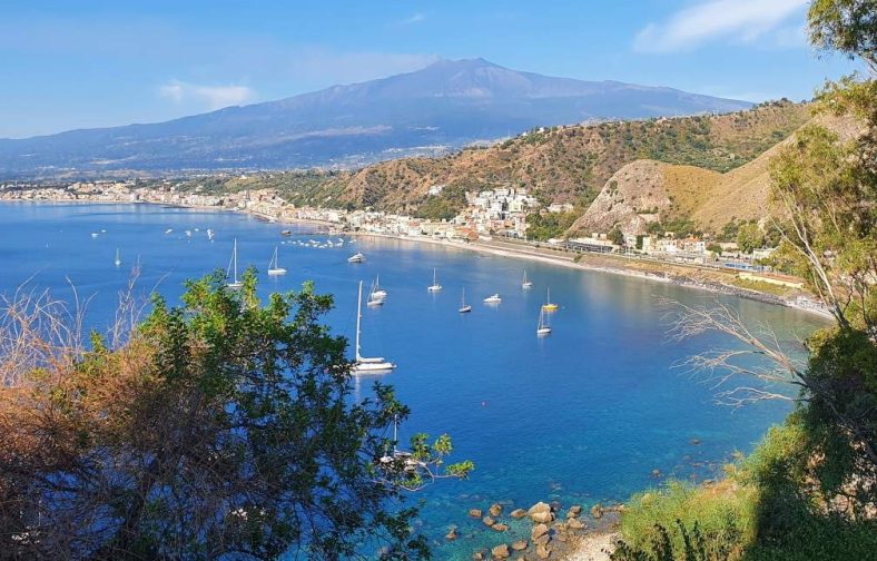 118126237_766492897436530_2273614203620885700_n