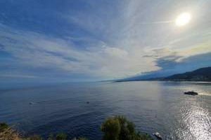 118937520_781225975963222_4396615384459091771_n