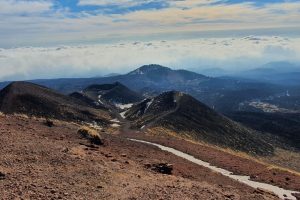 131675409_858124874939998_1251300197786235970_n