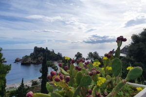 144892608_885516595534159_2472200454823445113_n