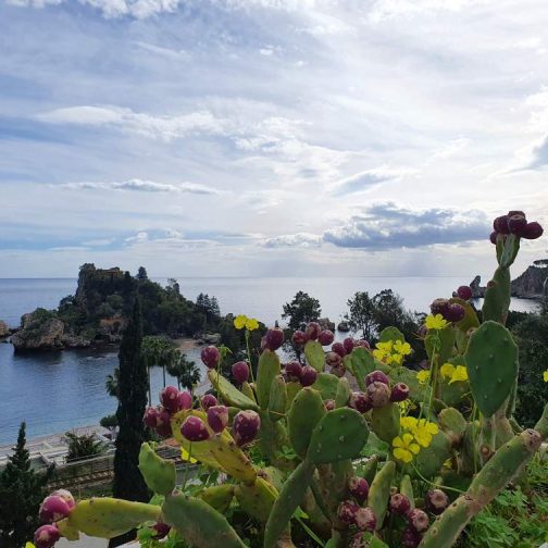 144892608_885516595534159_2472200454823445113_n