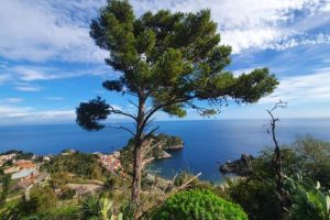 145648700_885516452200840_5855753095019646642_n