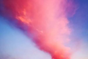 164354379_915286079223877_5138787124617902828_n