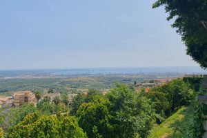 353672181_730259505773391_7649642608552775030_n