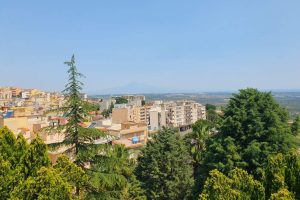 354467404_730259529106722_8888132109764435226_n