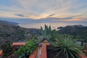 375048203_779858904146784_5638664147222428733_n