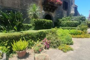 449159470_992238859575453_5651027373608477198_n (1)