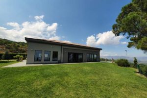 470607325_1762075107878299_6261399427846119038_n