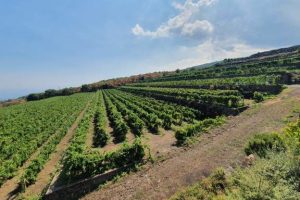 471084774_1762074971211646_5770437839812153054_n