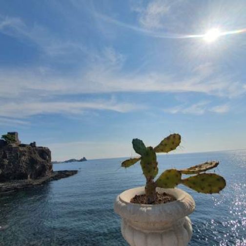 471153391_1762077307878079_8011299099716606899_n