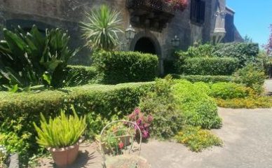 Etna shore tours (4)